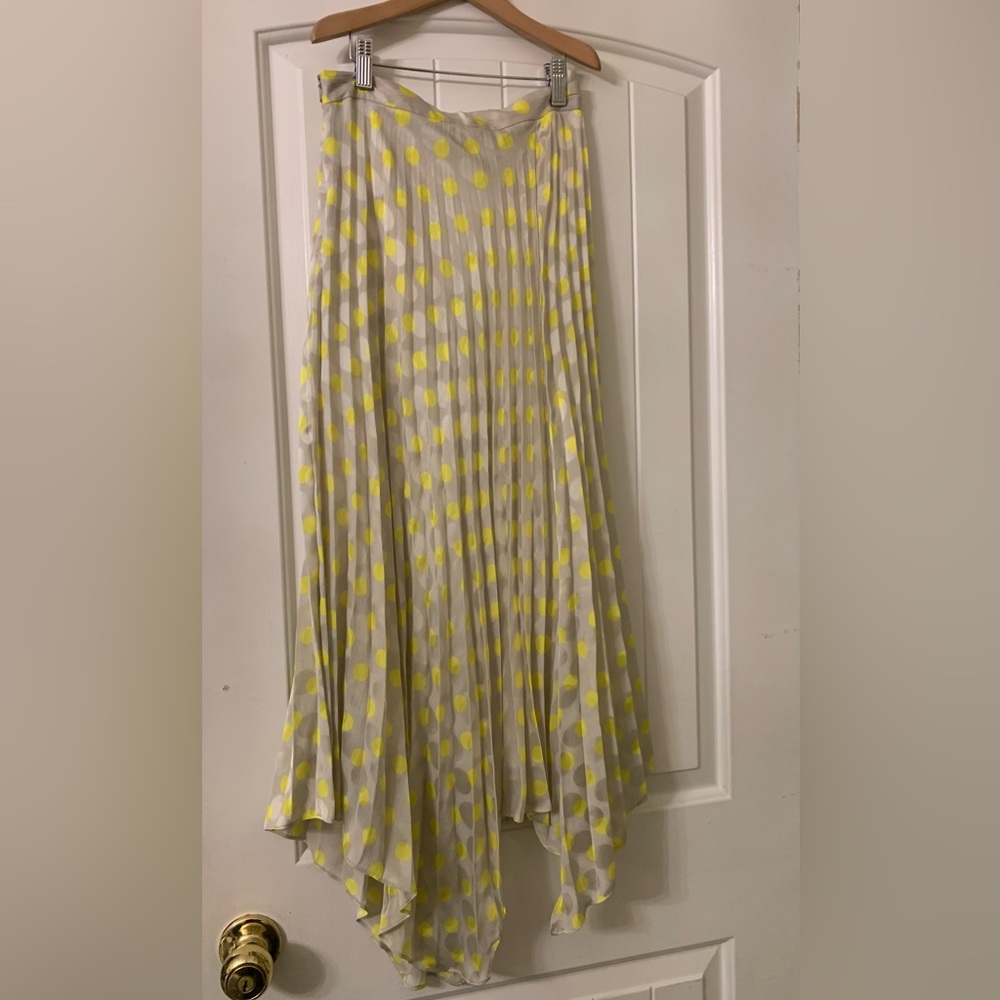 NWOT pleated zara skirt